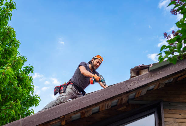 Trusted Diaz, AR Roofing and repair Experts